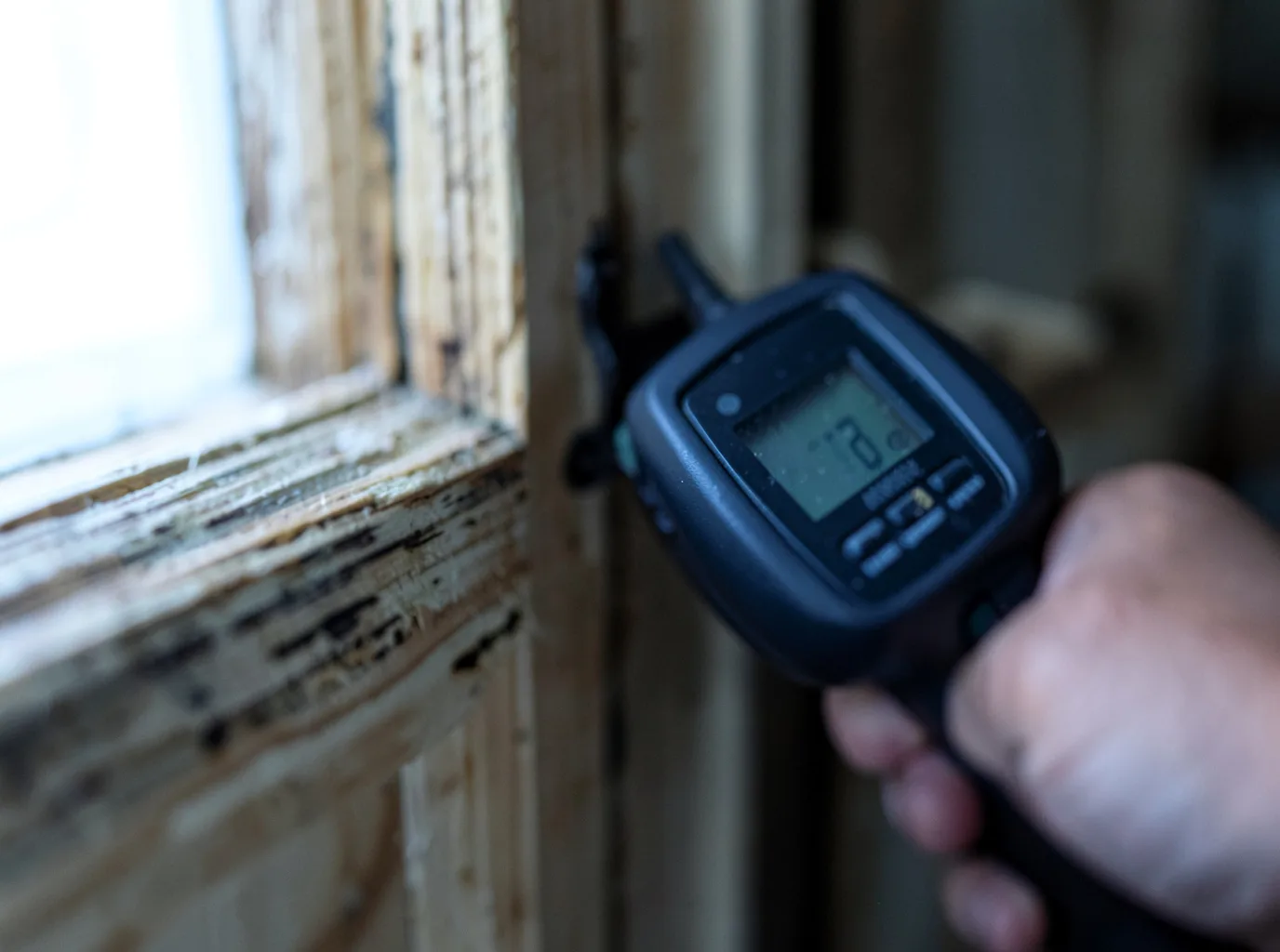 Moisture Inspection And Documentation in Lime Springs, IA